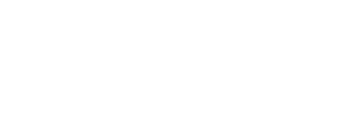 Platinum Solution Partner
